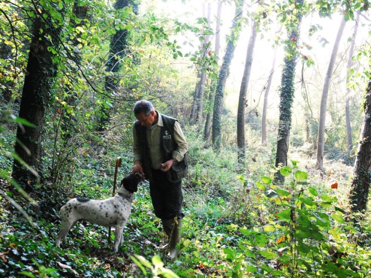 Cykel, vandring och gastronomi i Piemonte