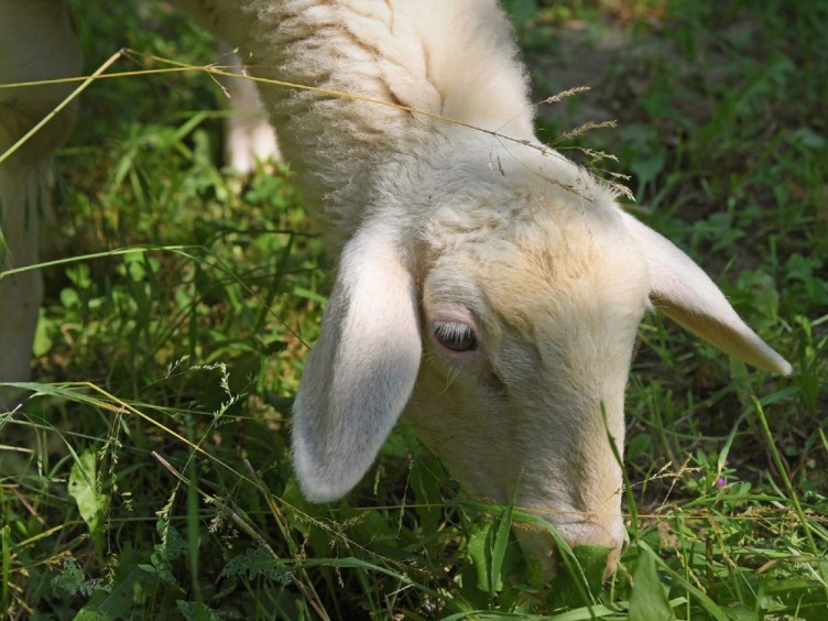 Eco-chic weekend Piemonte