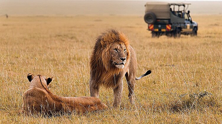 Pretoria - Durban 2 nätter